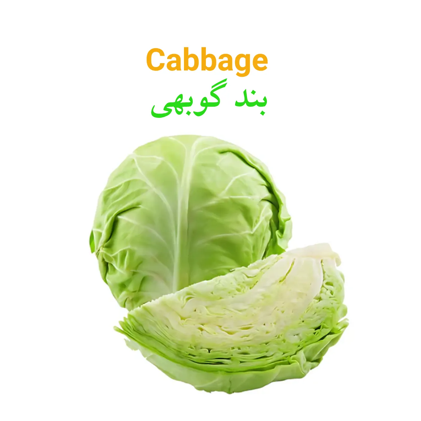 Cabbage Main WEBP cabbage (Band Gobhi) بند گوبی