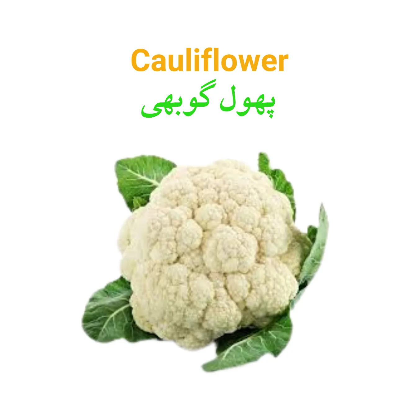 Cauliflower Main WEBP Cauliflower (Phool Gobhi) پھول گوبھی