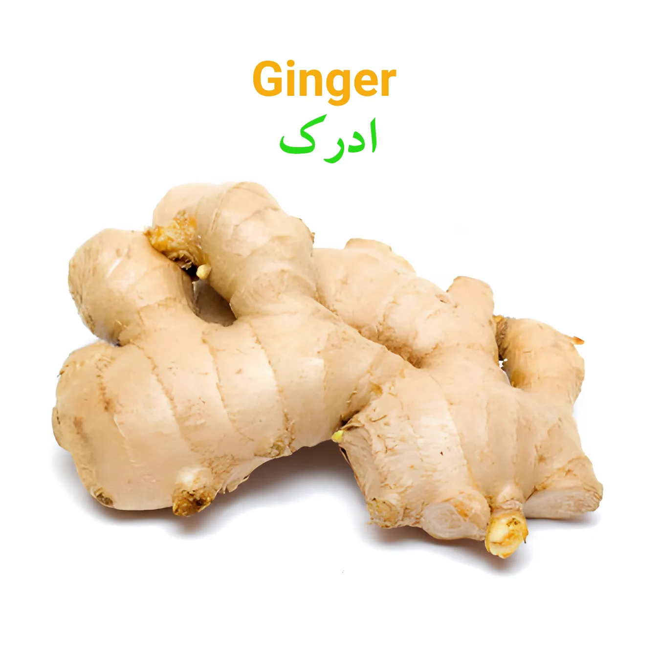 Ginger Main WEBP Ginger(Adrak) ادرک