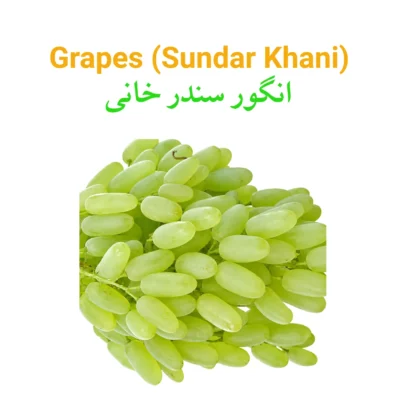 Grapes (Sundar Khani) Main WBP Grapes (Sundar Khani) انگور
