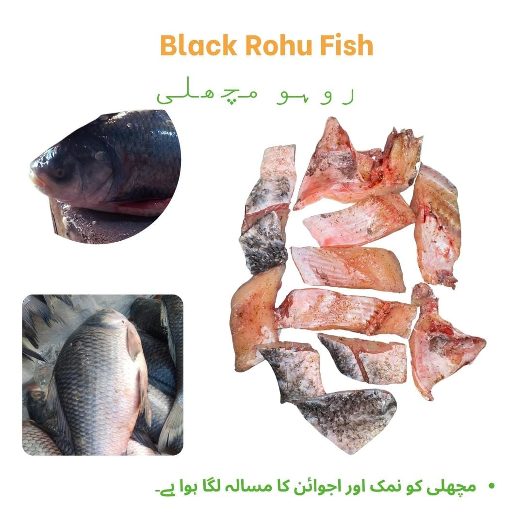 Rohu Fish Black Rohu Fish (Fry 1.5 Kg) روہو مچھلی