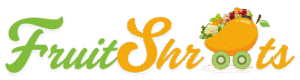 NEW FS 2 – LOGO HORIZONTAL (light fonts) WT