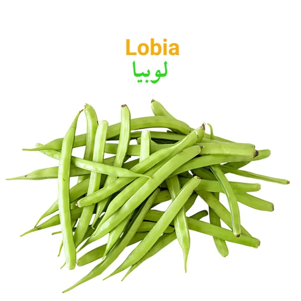 Lobia